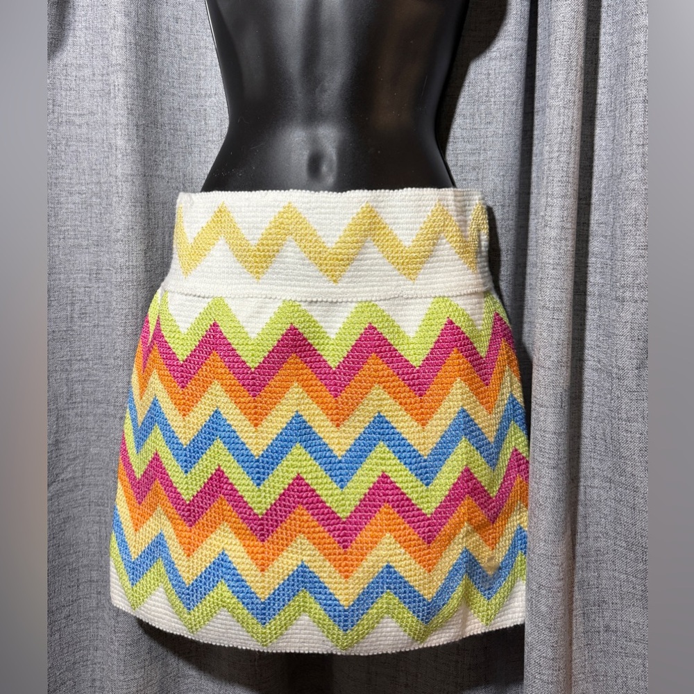 Colorful Chevron Knit Skirt